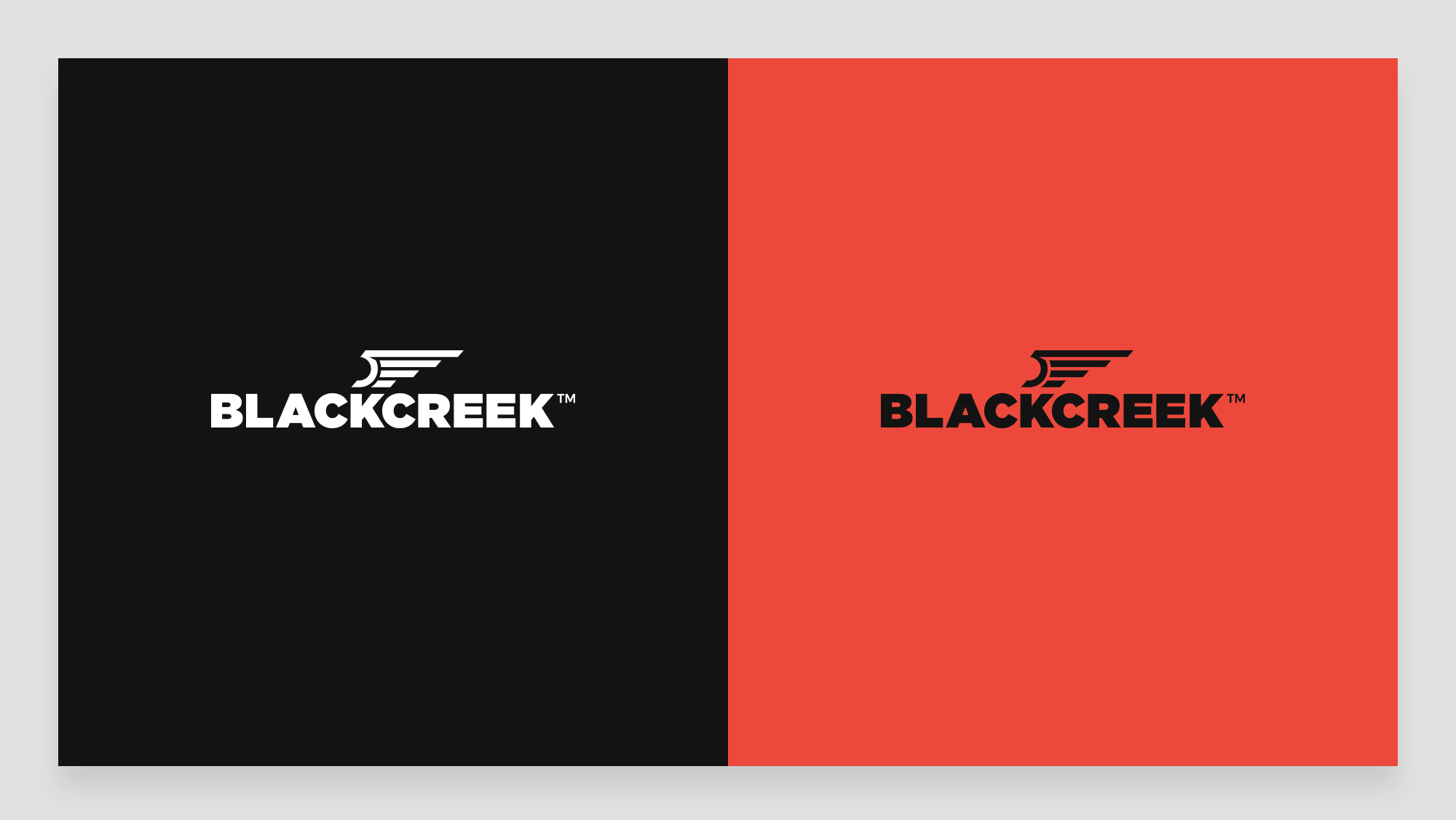 BlackCreek Firearms Logo Design on Brand Colours