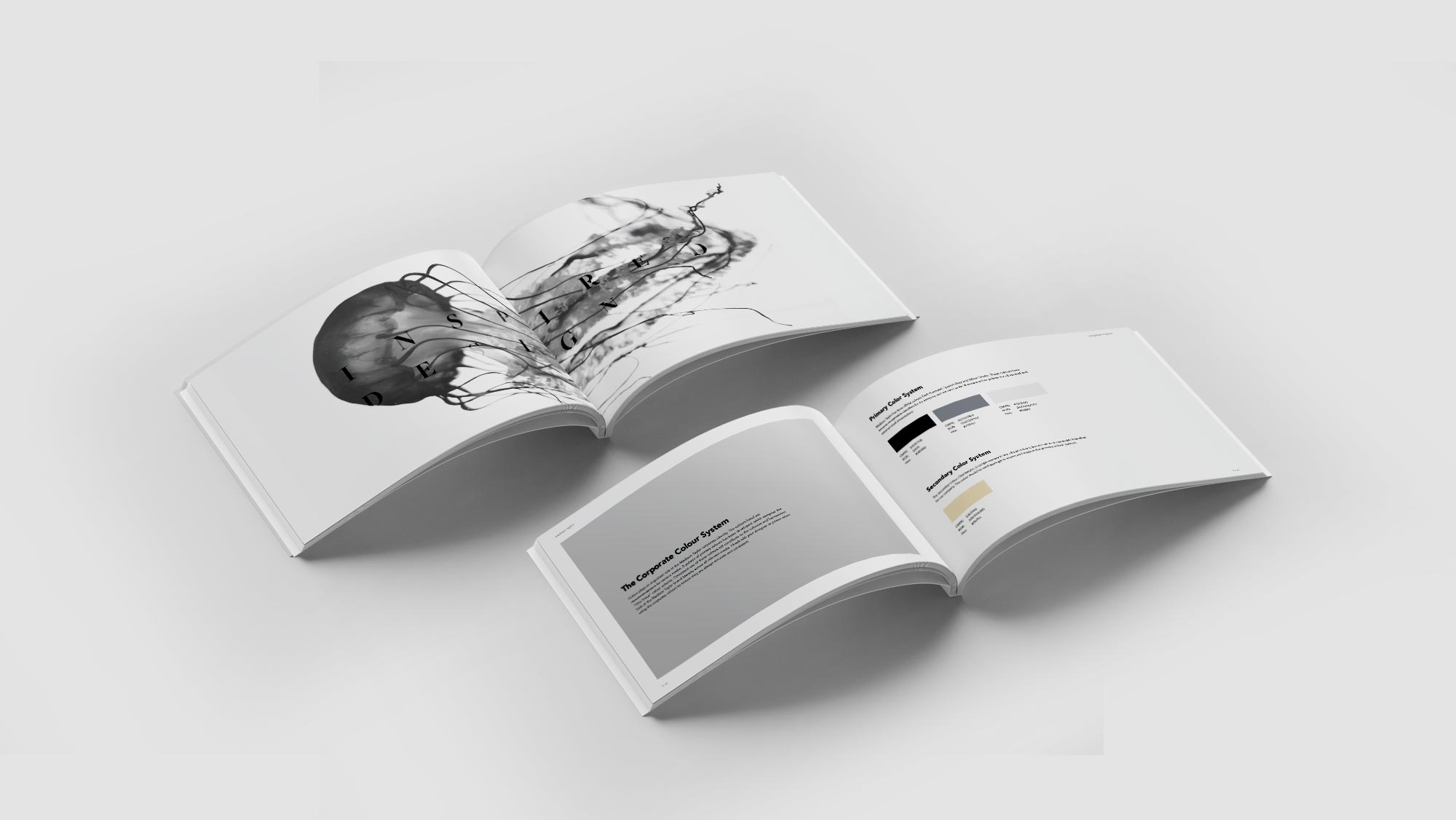 Brand Style Guide Design